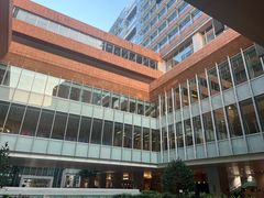 -香港大学