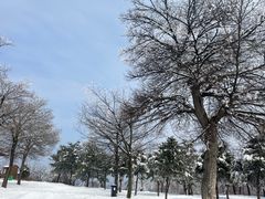-洛阳白云山景区