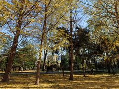 -玲珑塔公园
