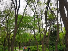 -玲珑塔公园