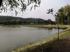 -羊山湖公园