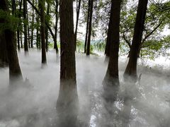 -东湖落雁景区