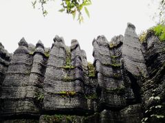 -梭布垭石林景区