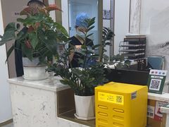 -启辰口腔(南坪店)