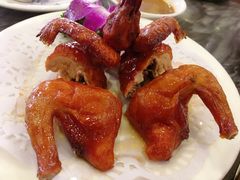 -鸽鸟轩(石岐店)