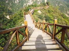 -大岭沟猕猴桃谷风景区