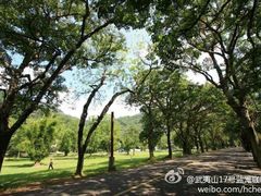 android_upload_pic-17号蓝滩咖啡馆(武夷山店)