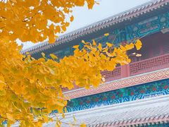 -潭柘寺景区
