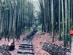 -五泄景区