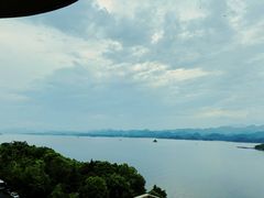 -浔味·山屿湖·正宗全鱼宴老字号