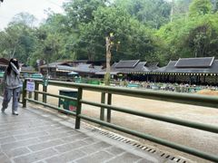 -野象谷景区