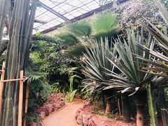 -呀路古热带植物园