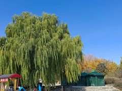 -北京西山国家森林公园