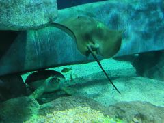 -福州罗源湾海洋世界旅游区