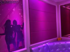 -金青果甄选KTV(劳动公园店)