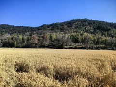 -塔川景区
