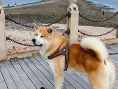 -锦州笔架山风景区