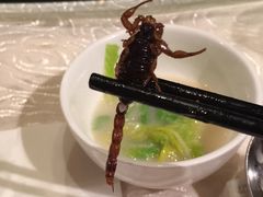 -西安饭庄(立丰国际店)