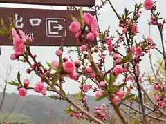 -北京西山国家森林公园