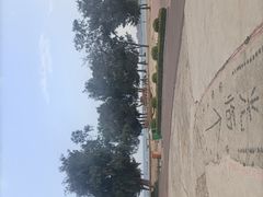 -阿弟特色海鲜餐厅·大排档(平潭店)