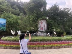 -广州白江湖森林公园