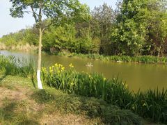 -白鹭湾湿地公园