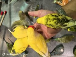 -酷嗒动物文化乐园(cutezoo西溪乐天城店)