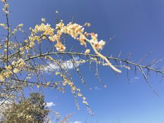 -阿斯牛牛十二餐厅•四季餐厅(民族大道店)