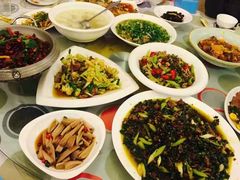 -铁山坪森林公园