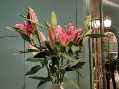 -南堂馆·新川菜(春熙路店)