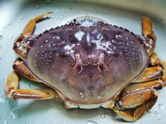 -盒马鲜生(馥邦国际店)