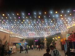 景点-大连海昌发现王国主题公园