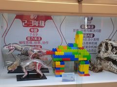 -斯坦星球青少儿编程机器人科学乐高思维专注力科创竞赛规划(武汉凯德西城学习中心)