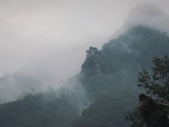 -栾川竹海野生动物园