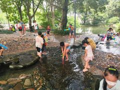 -成都市活水公园