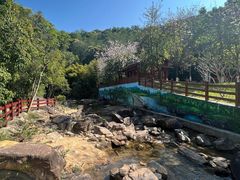 -广州白江湖森林公园