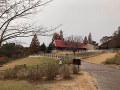 -神户市立六甲山牧场