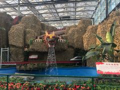 -兰陵国家农业公园