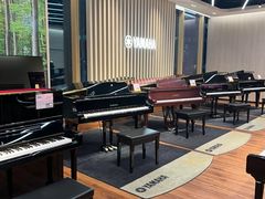 -知音艺术教育培训·钢琴培训·音乐培训(河西金鹰世界校区)