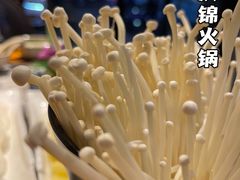 -重庆锦火锅(惠福东路店)