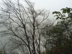 -崀山风景名胜区