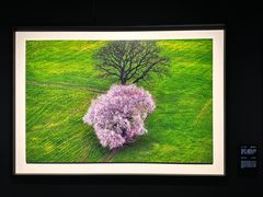 -罗红摄影艺术馆