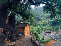 -杨家堂村
