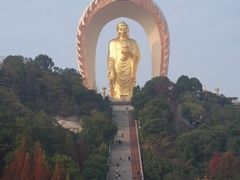 -东林大佛