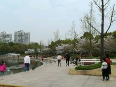 -新江湾城公园