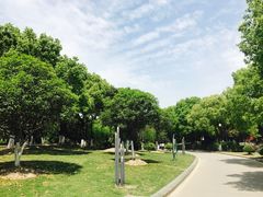 景点-花溪公园