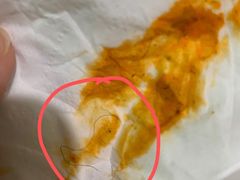 -星鸿社重庆老火锅