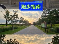 -汉长安城未央宫国家考古遗址公园