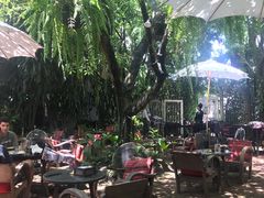 -Fern Forest Cafe