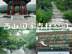 -北京西山国家森林公园
